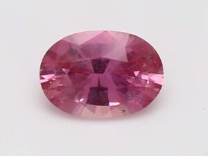 10069
